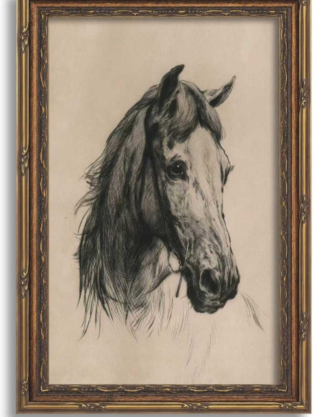Elegant Gold Framed Horse Head Sketch Wall Art | Equestrian Canvas Print 16x24